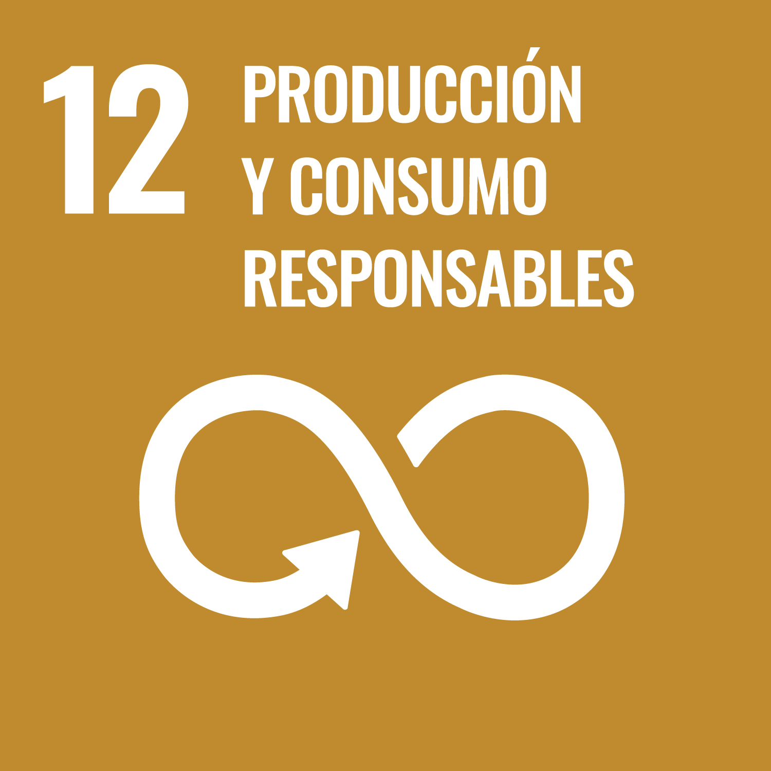 Ing. Rosaura Pimentel